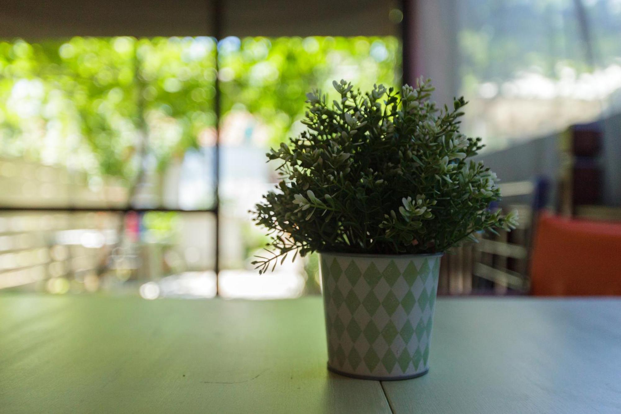 Garden Guest Room Fanárion エクステリア 写真